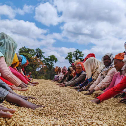 Single Origin - Ethiopia - Idido